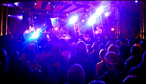 Royworld on the John Peel Stage